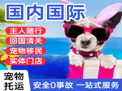 济南航空空运国际宠物托运 【国